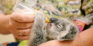 6738270451622099142rectangle